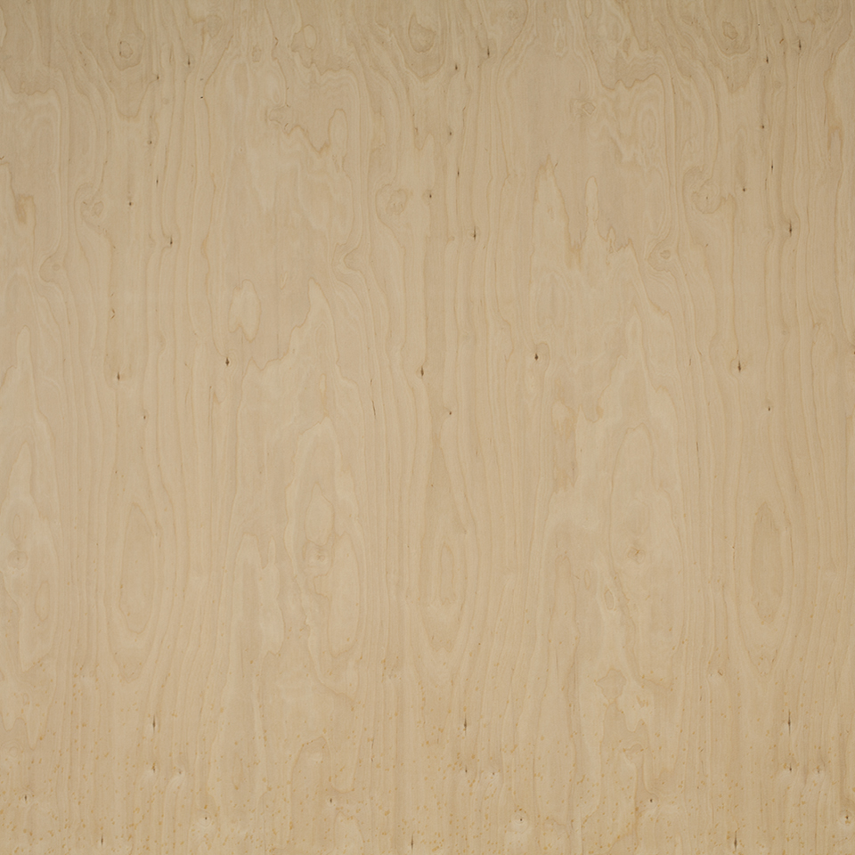 Plywood 24 BB/BB (1250x2500)