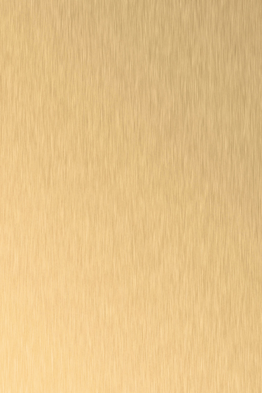 HPL 0.8 AL04/SM Brushed gold (3050x1310)