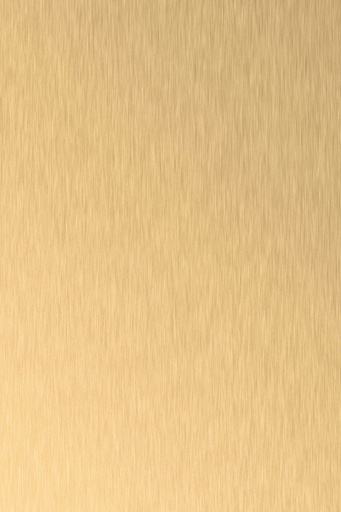 [HPL_08_AL04] HPL 0.8 AL04/SM Brushed gold (3050x1310)